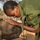 At Reteti Elephant Sanctuary in Northern Kenya, Mary Lengees, one of Reteti’s first female elephant keepers, caresses Suyian, the first resident.
